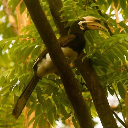 Hilltop Lodge Guwahati Bagian luar foto