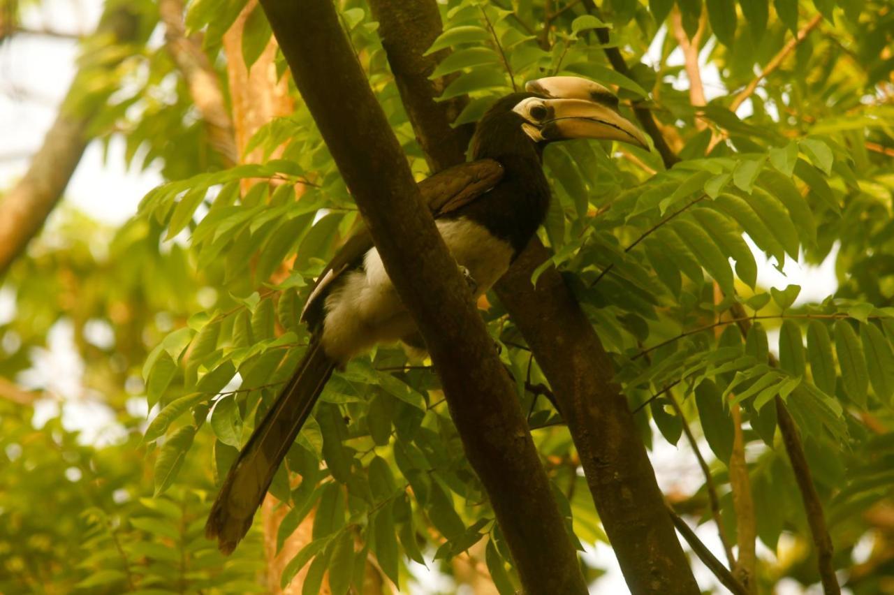 Hilltop Lodge Guwahati Bagian luar foto